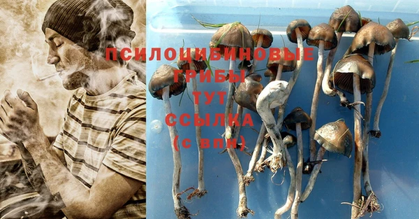 сатива Балабаново