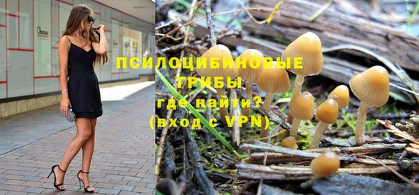 сатива Балабаново
